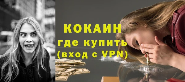 соль ск Дмитриев