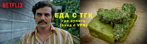 соль ск Дмитриев