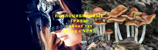 индика Дмитров