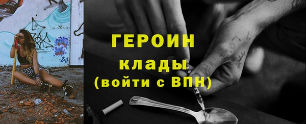 соль ск Дмитриев