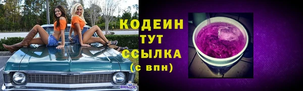 индика Дмитров