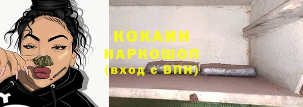 соль ск Дмитриев