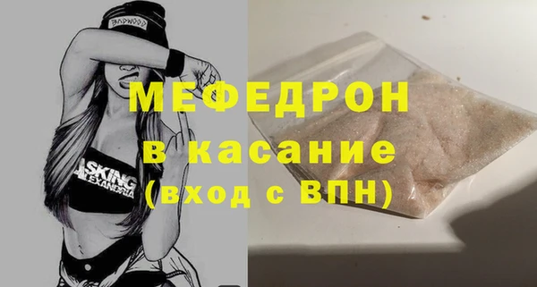 индика Дмитров