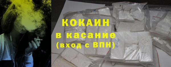 индика Дмитров