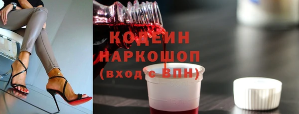 соль ск Дмитриев
