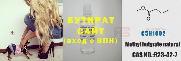 соль ск Дмитриев