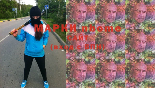 индика Дмитров