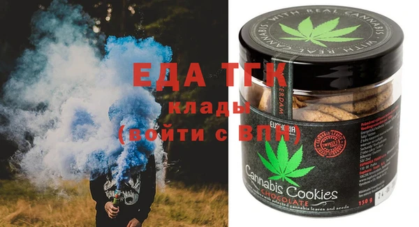 индика Дмитров