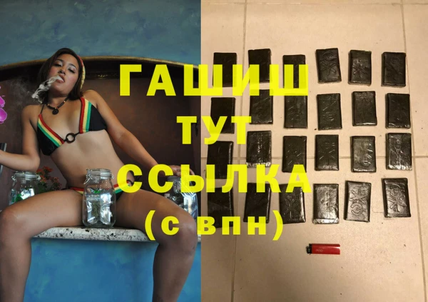 соль ск Дмитриев