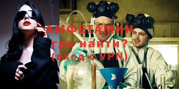 индика Дмитров