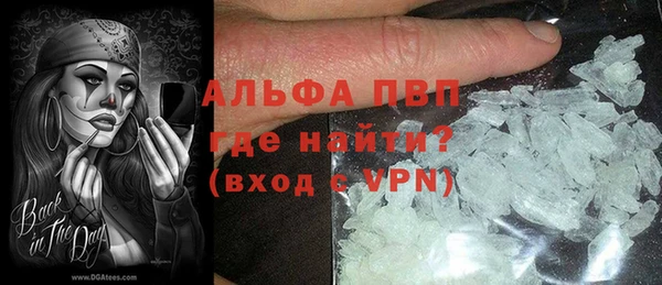 индика Дмитров
