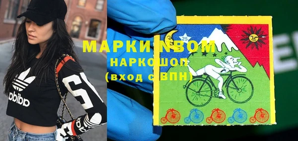 индика Дмитров