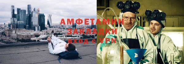 индика Дмитров