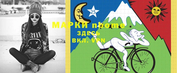 индика Дмитров