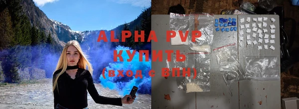 индика Дмитров