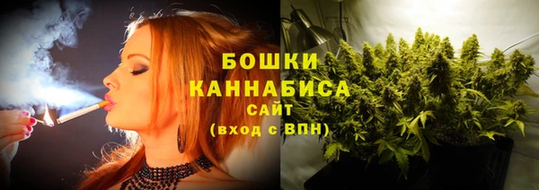соль ск Дмитриев