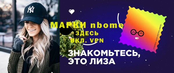 индика Дмитров