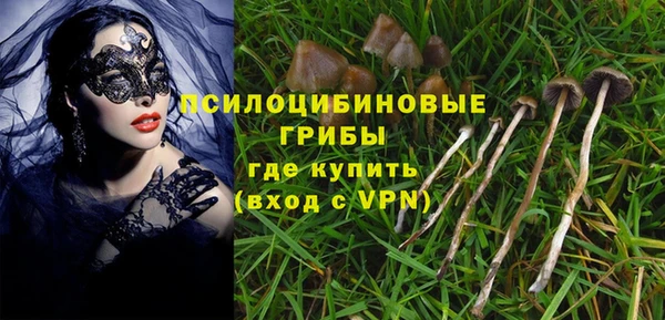 индика Дмитров