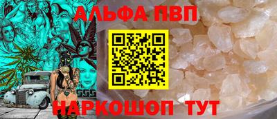 стаф Новокубанск