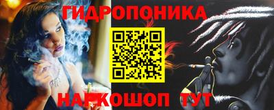стаф Новокубанск