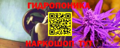 стаф Новокубанск