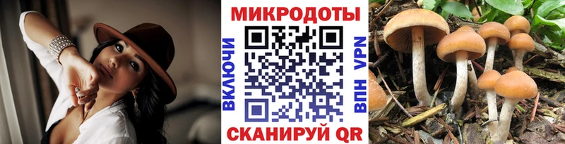 Псилоцибиновые грибы Cubensis  блэк спрут зеркало  Советский 