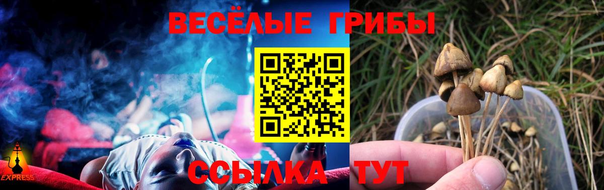Советский  Псилоцибиновые грибы GOLDEN TEACHER  Вход с VPN 